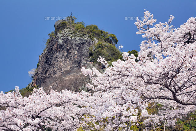 桜咲く耶馬渓と競秀峰
(c)YOSHITSUGU NISHIGAKI/SEBUN PHOTO