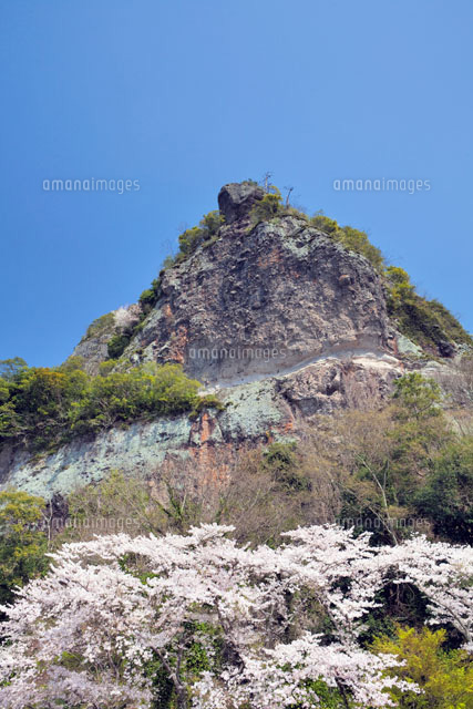 桜咲く耶馬渓と競秀峰
(c)YOSHITSUGU NISHIGAKI/SEBUN PHOTO