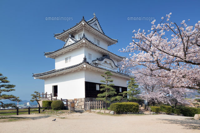 桜咲く丸亀城
(c)YOSHITSUGU NISHIGAKI/SEBUN PHOTO