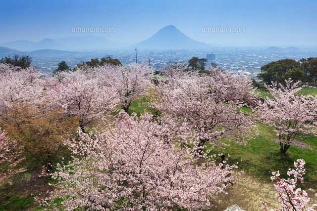桜咲く丸亀城より讃岐富士
(c)YOSHITSUGU NISHIGAKI/SEBUN PHOTO