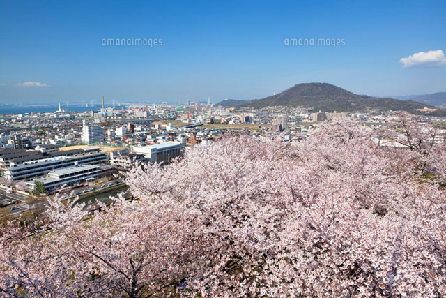 桜咲く丸亀城より丸亀市街
(c)YOSHITSUGU NISHIGAKI/SEBUN PHOTO