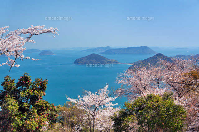 桜咲く紫雲出山より瀬戸内海
(c)YOSHITSUGU NISHIGAKI/SEBUN PHOTO