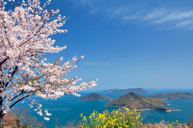 桜咲く紫雲出山より瀬戸内海
(c)YOSHITSUGU NISHIGAKI/SEBUN PHOTO