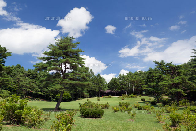 兎和野高原
(c)YOSHITSUGU NISHIGAKI/SEBUN PHOTO