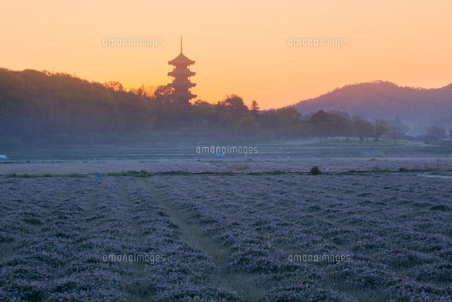 朝の備中国分寺
(c)YOSHITSUGU NISHIGAKI/SEBUN PHOTO