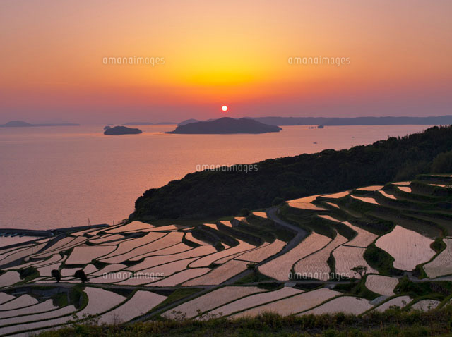 土谷棚田と夕陽
(c)YOSHITSUGU NISHIGAKI/SEBUN PHOTO
