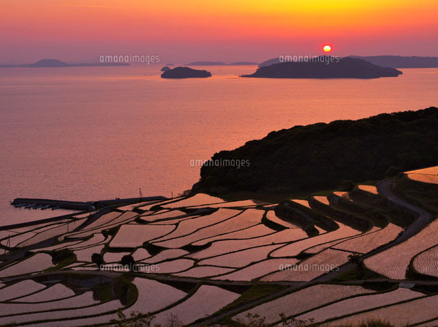 土谷棚田と夕陽
(c)YOSHITSUGU NISHIGAKI/SEBUN PHOTO
