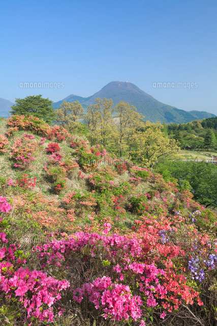 ツツジ咲く志高湖と鶴見岳
(c)YOSHITSUGU NISHIGAKI/SEBUN PHOTO