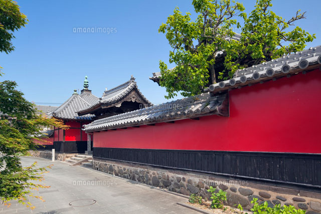 合元寺
(c)YOSHITSUGU NISHIGAKI/SEBUN PHOTO