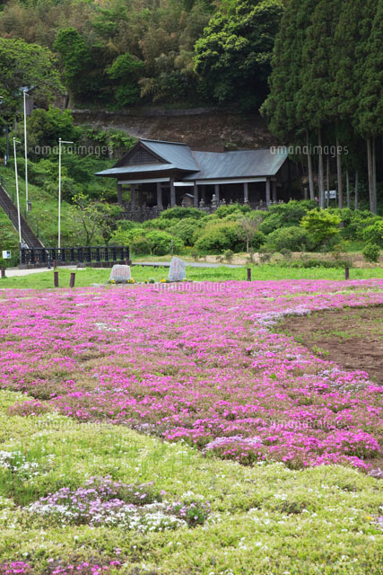 臼杵石仏
(c)YOSHITSUGU NISHIGAKI/SEBUN PHOTO