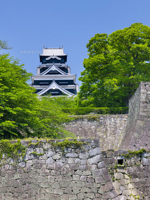 熊本城
(c)YOSHITSUGU NISHIGAKI/SEBUN PHOTO