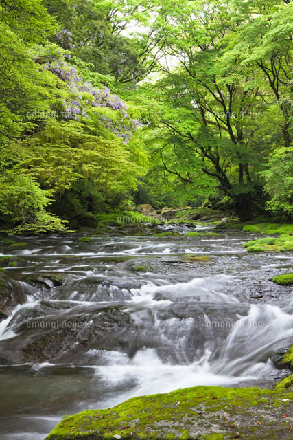 菊池渓谷
(c)YOSHITSUGU NISHIGAKI/SEBUN PHOTO
