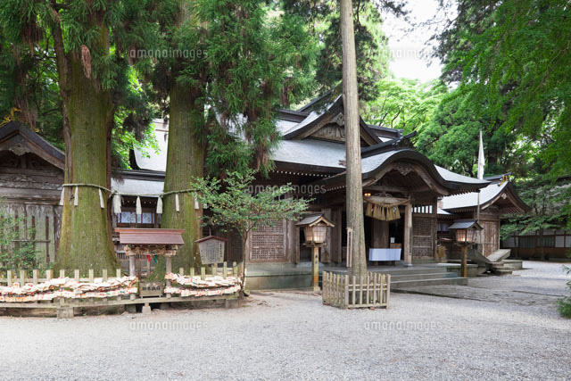 高千穂神社本殿と夫婦杉
(c)YOSHITSUGU NISHIGAKI/SEBUN PHOTO