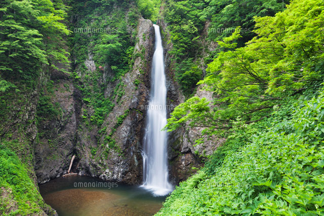 白神山地 暗門の滝
(c)YOSHITSUGU NISHIGAKI/SEBUN PHOTO