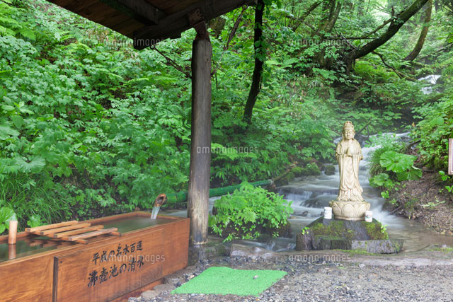 沸壺池の清水
(c)YOSHITSUGU NISHIGAKI/SEBUN PHOTO