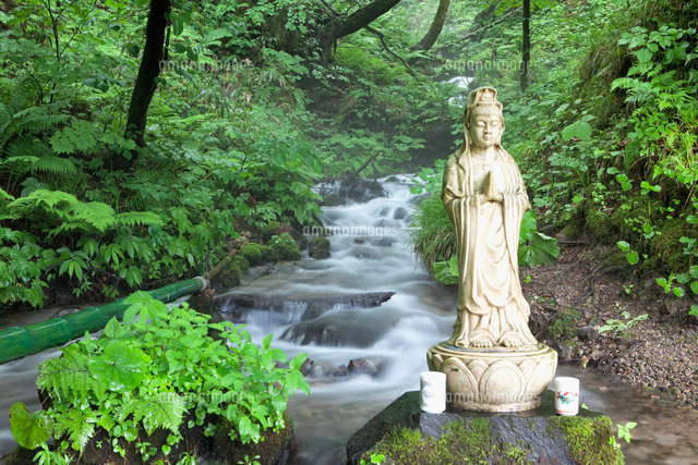 沸壺池の清水
(c)YOSHITSUGU NISHIGAKI/SEBUN PHOTO