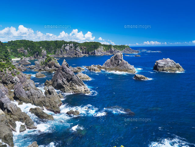 海金剛
(c)YOSHITSUGU NISHIGAKI/SEBUN PHOTO