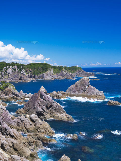 海金剛
(c)YOSHITSUGU NISHIGAKI/SEBUN PHOTO
