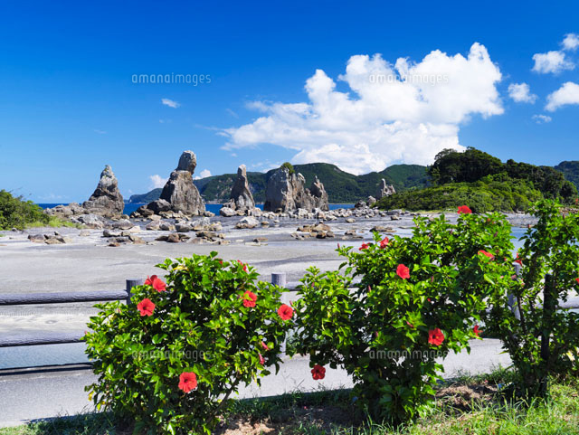 ハイビスカスと橋杭岩
(c)YOSHITSUGU NISHIGAKI/SEBUN PHOTO