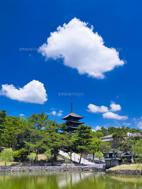 猿沢の池と興福寺五重塔
(c)YOSHITSUGU NISHIGAKI/SEBUN PHOTO