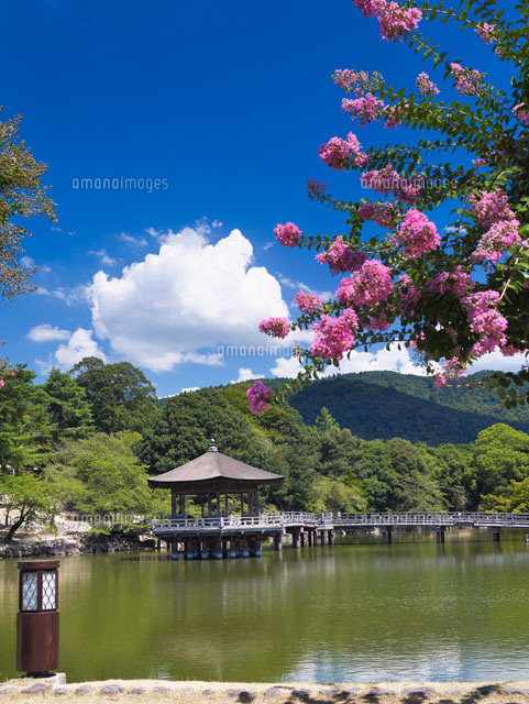 サルスベリ咲く鷺池と浮見堂
(c)YOSHITSUGU NISHIGAKI/SEBUN PHOTO