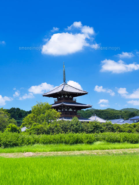 田園と法起寺三重塔
(c)YOSHITSUGU NISHIGAKI/SEBUN PHOTO