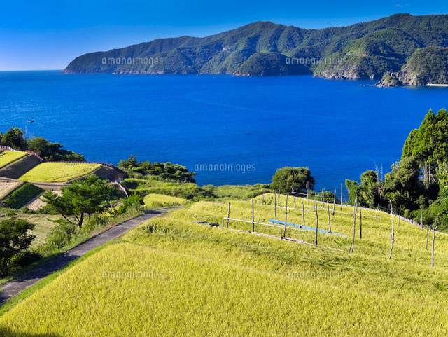 田園と若狭湾
(c)YOSHITSUGU NISHIGAKI/SEBUN PHOTO