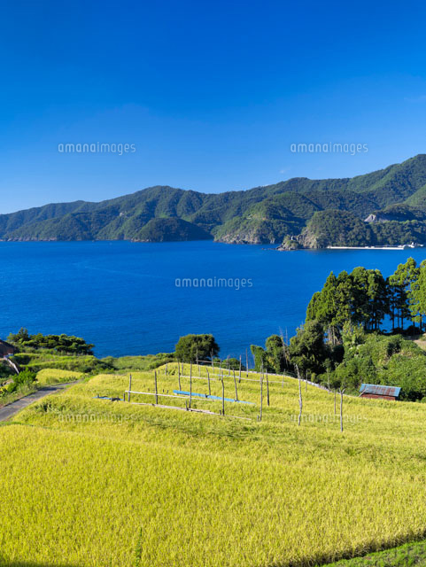 田園と若狭湾
(c)YOSHITSUGU NISHIGAKI/SEBUN PHOTO