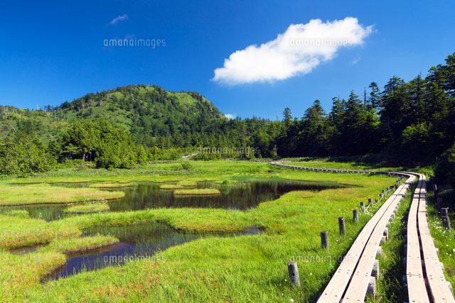 四十八池と裏志賀山
(c)YOSHITSUGU NISHIGAKI/SEBUN PHOTO