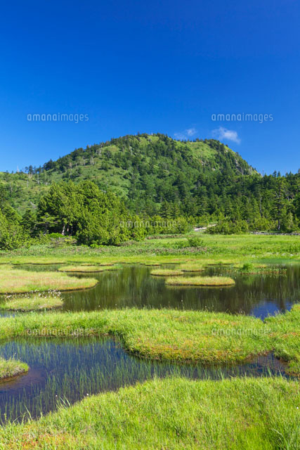 四十八池と裏志賀山
(c)YOSHITSUGU NISHIGAKI/SEBUN PHOTO