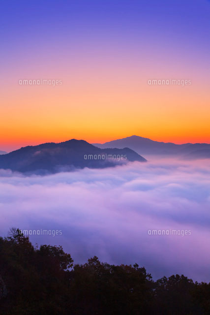 朝の雲海と竹田城跡
(c)YOSHITSUGU NISHIGAKI/SEBUN PHOTO