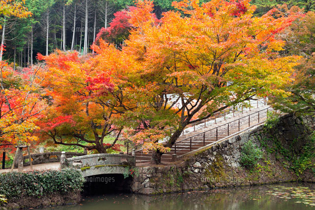 紅葉の円通寺
(c)YOSHITSUGU NISHIGAKI/SEBUN PHOTO