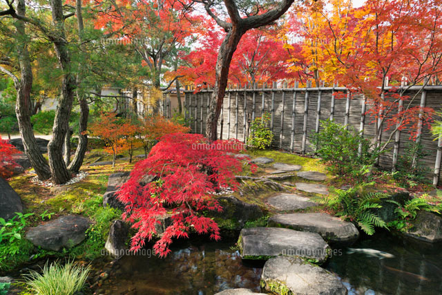 紅葉の好古園
(c)YOSHITSUGU NISHIGAKI/SEBUN PHOTO