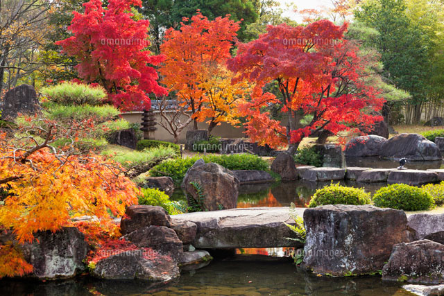 紅葉の好古園
(c)YOSHITSUGU NISHIGAKI/SEBUN PHOTO