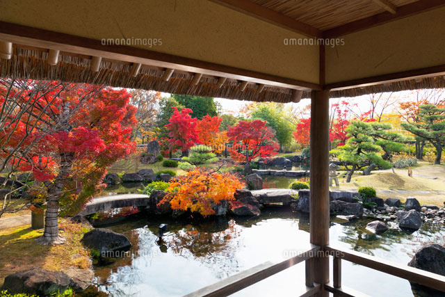 紅葉の好古園
(c)YOSHITSUGU NISHIGAKI/SEBUN PHOTO