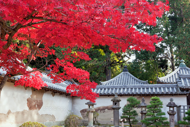 紅葉の書写山園教寺
(c)YOSHITSUGU NISHIGAKI/SEBUN PHOTO