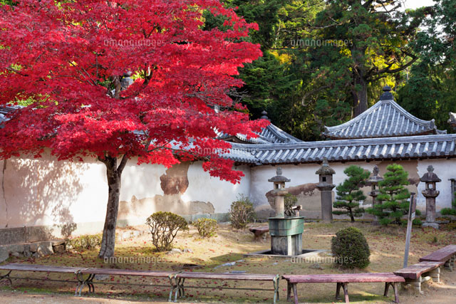 紅葉の書写山園教寺
(c)YOSHITSUGU NISHIGAKI/SEBUN PHOTO