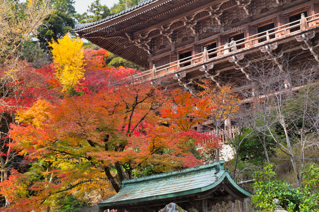 紅葉の書写山園教寺
(c)YOSHITSUGU NISHIGAKI/SEBUN PHOTO
