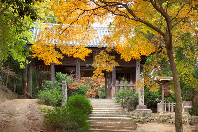 紅葉の書写山園教寺
(c)YOSHITSUGU NISHIGAKI/SEBUN PHOTO