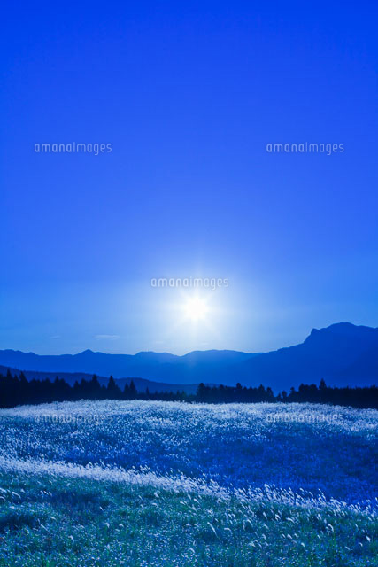 ススキと曽爾高原夕景
(c)YOSHITSUGU NISHIGAKI/SEBUN PHOTO