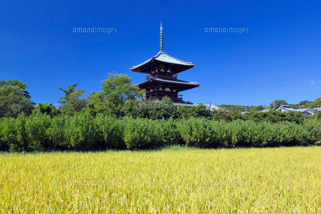 田園と法起寺
(c)YOSHITSUGU NISHIGAKI/SEBUN PHOTO