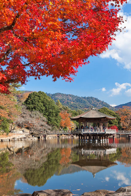 紅葉の鷺池と浮見堂
(c)YOSHITSUGU NISHIGAKI/SEBUN PHOTO