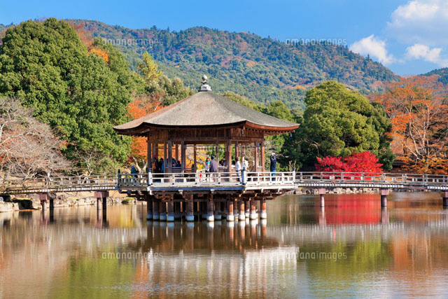 紅葉の鷺池と浮見堂
(c)YOSHITSUGU NISHIGAKI/SEBUN PHOTO