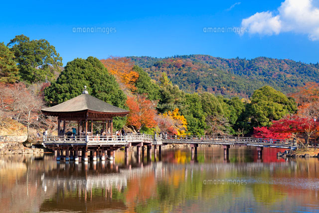 紅葉の鷺池と浮見堂
(c)YOSHITSUGU NISHIGAKI/SEBUN PHOTO