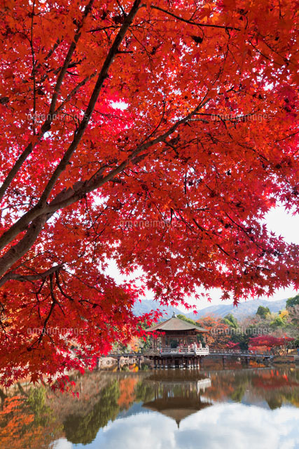 紅葉の鷺池と浮見堂
(c)YOSHITSUGU NISHIGAKI/SEBUN PHOTO