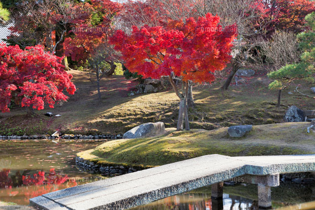 秋の奈良公園
(c)YOSHITSUGU NISHIGAKI/SEBUN PHOTO