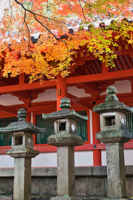 紅葉と石灯籠 春日大社
(c)YOSHITSUGU NISHIGAKI/SEBUN PHOTO
