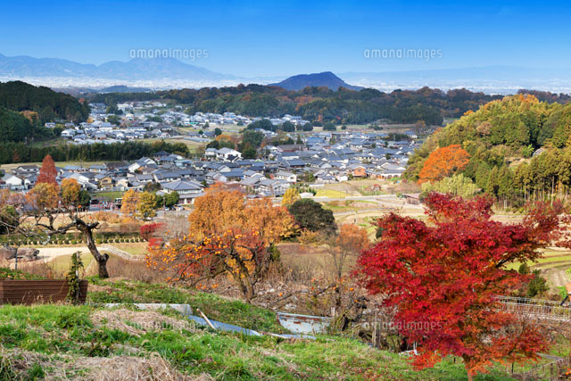 秋の明日香村より畝傍山と二上山
(c)YOSHITSUGU NISHIGAKI/SEBUN PHOTO