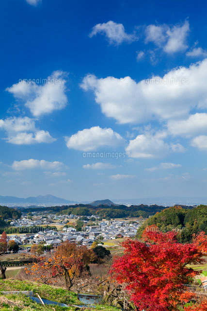 秋の明日香村より畝傍山と二上山
(c)YOSHITSUGU NISHIGAKI/SEBUN PHOTO