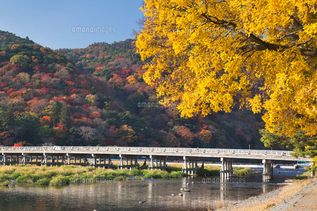 秋の嵐山と渡月橋
(c)YOSHITSUGU NISHIGAKI/SEBUN PHOTO